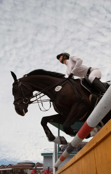 Horse Jumping