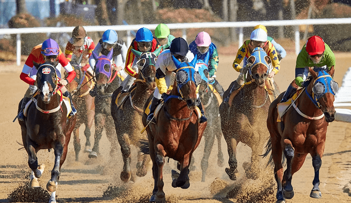 Horse Race
